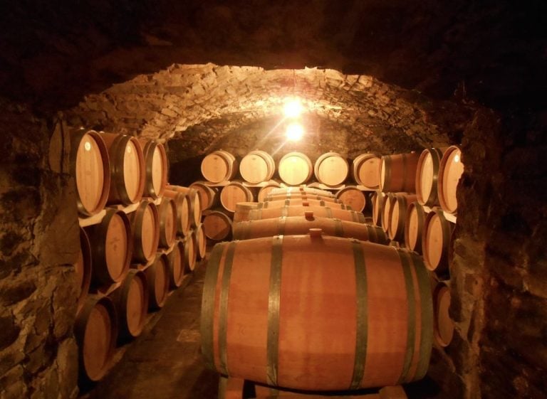 Slovenia Vino