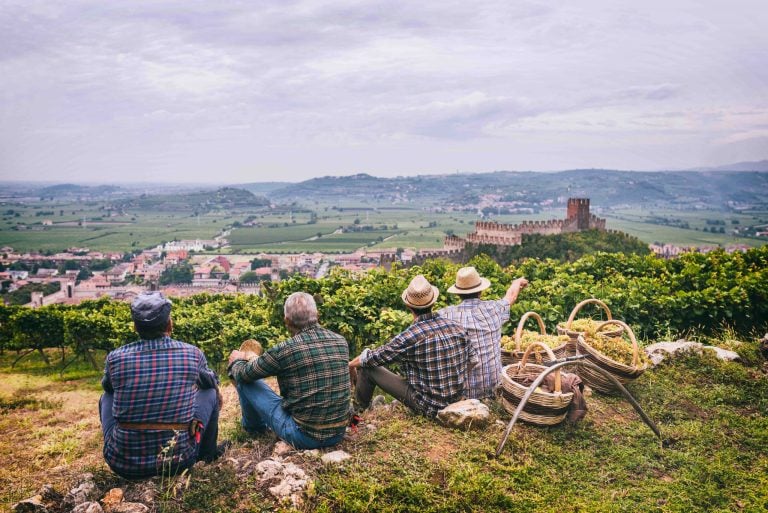 Leggi di più sul Soave