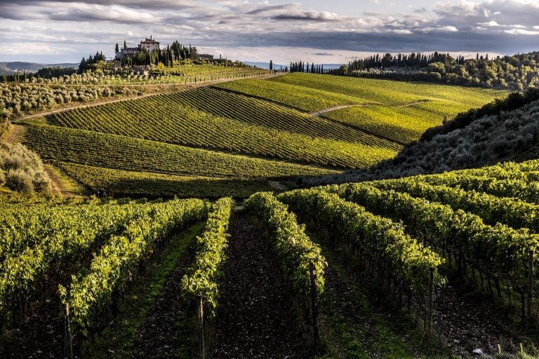 Tenua Perano Frescobaldi