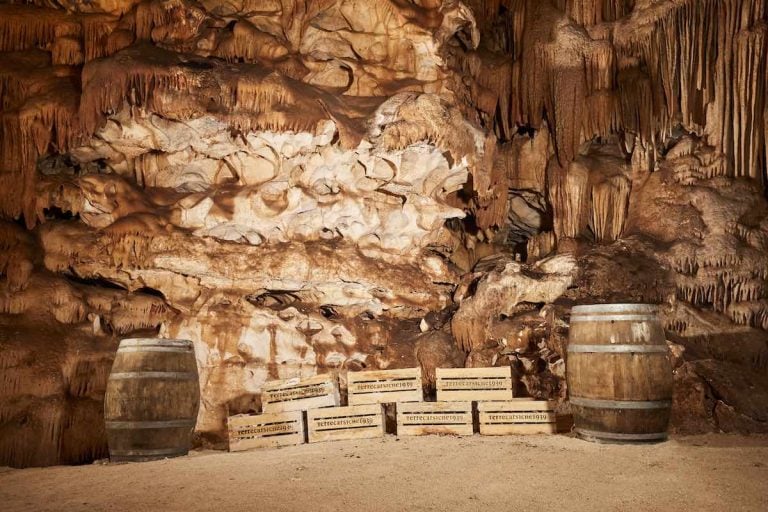 Terrecarsiche..|Terrecarsiche..|Terrecarsiche..|Terrecarsiche. ritratti|Terrecarsiche CANTINA Gioia del Colle Primitivo Fanova '20|Terrecarsiche..