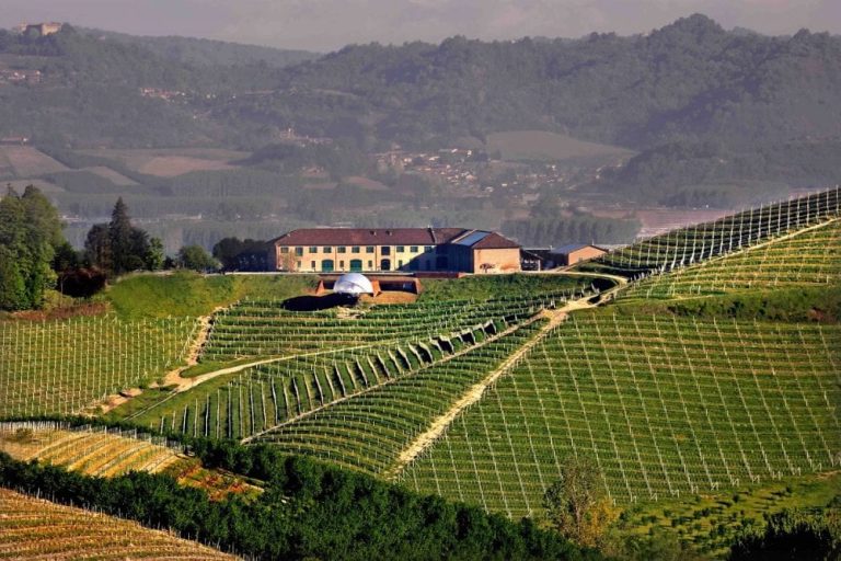 La tenuta dei Ceretto nelle Langhe|