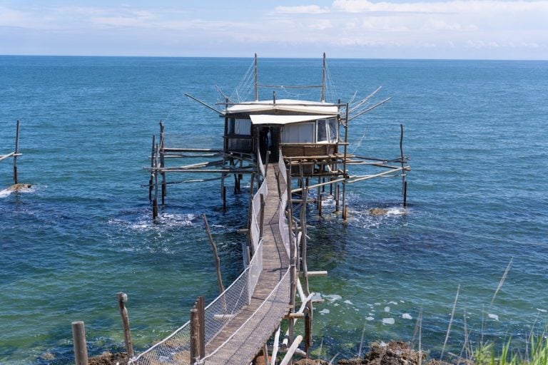 TRABOCCO SPUMANTE D ABRUZZO DOC 1|ALESSANDRO NICODEMI PRESIDENTE CONSORZIO VINI ABRUZZO(5)||marchio trabocco