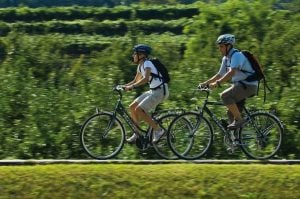 Cicloenoturismo con trentodoc|Immagine della App trentodoc|Cicloenoturismo con trentodoc Ph. Daniele Montigiani|Cicloenoturismo con trentodoc Ph. Ronny Kiaulehn