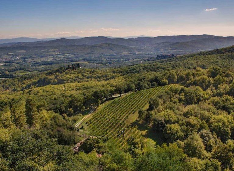 valdarno di sopra