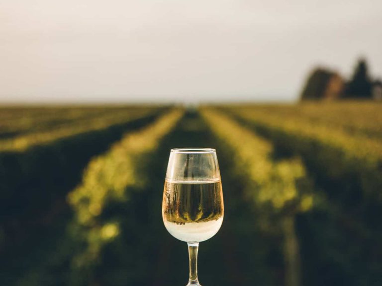 |Vigneti Doc Sicilia|