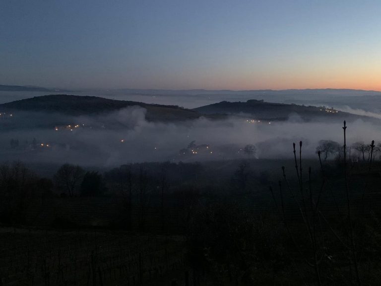 Fuochi in vigna a Montalcino|Vite gelata in vigna a Cuneo|Vite gelata in Emilia