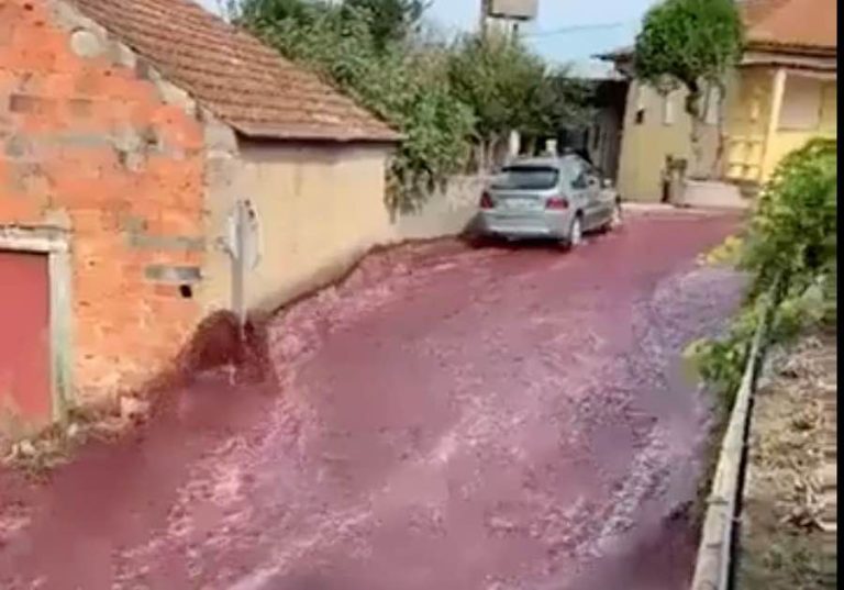 vino rosso portogallo ape