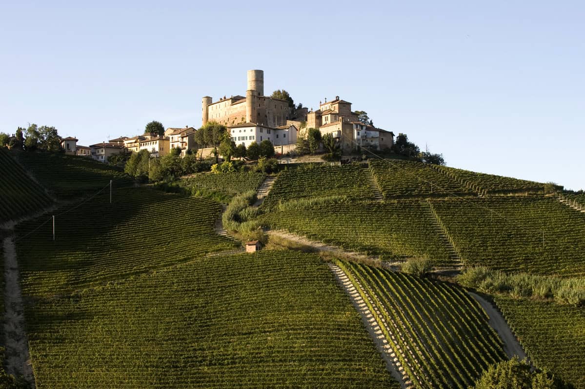 Scossone nelle Langhe: Vietti in vendita. Sulla cantina piemontese gli occhi del gruppo Lvmh