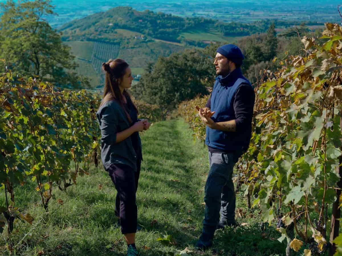 Un documentario racconta come un gruppo di vignaioli indipendenti vuole salvare il vino dal cambiamento climato