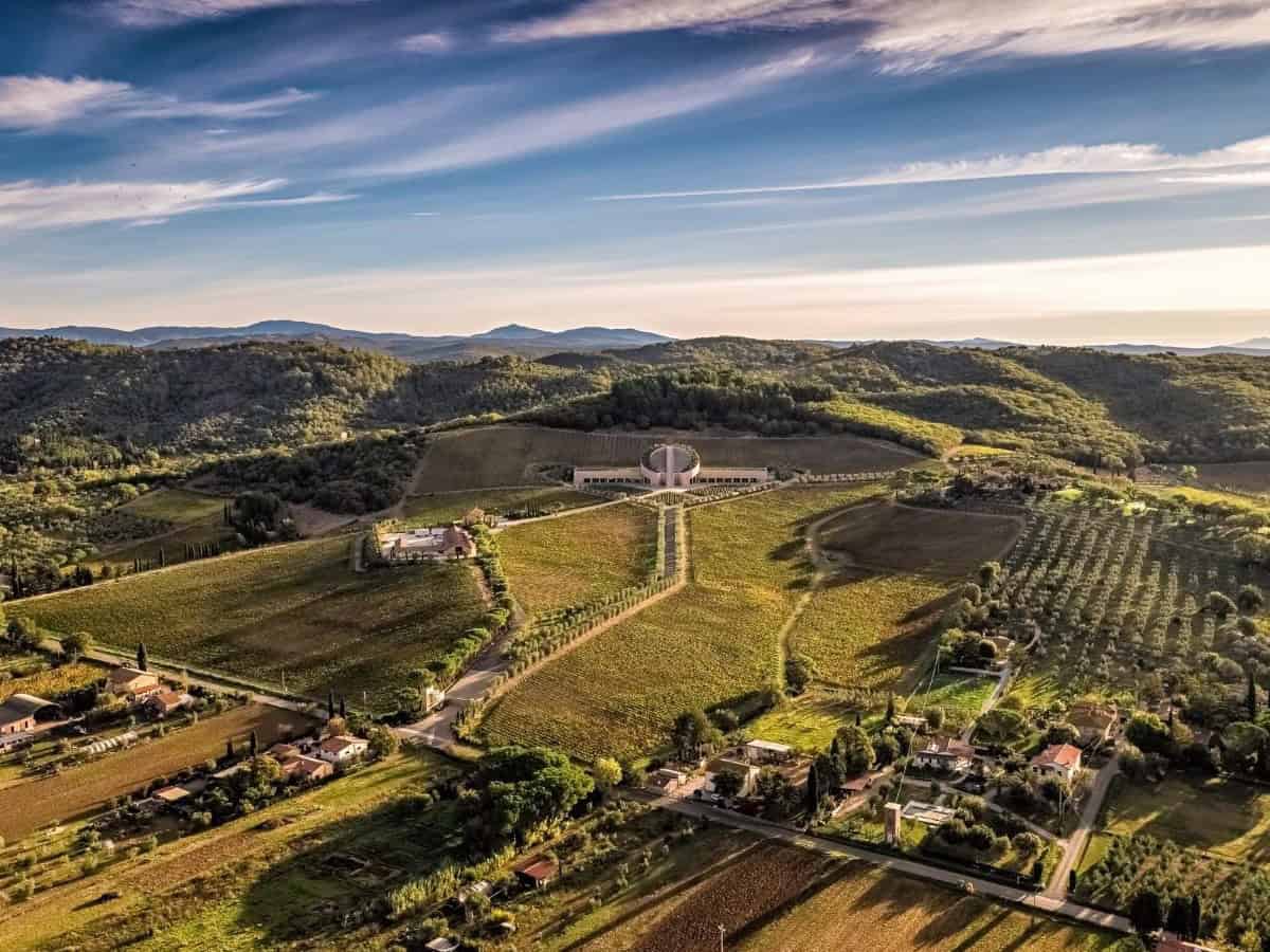 Terra Moretti lancia un bond sostenibile da 15 milioni euro. Al via nuovi investimenti per cantine e hotellerie