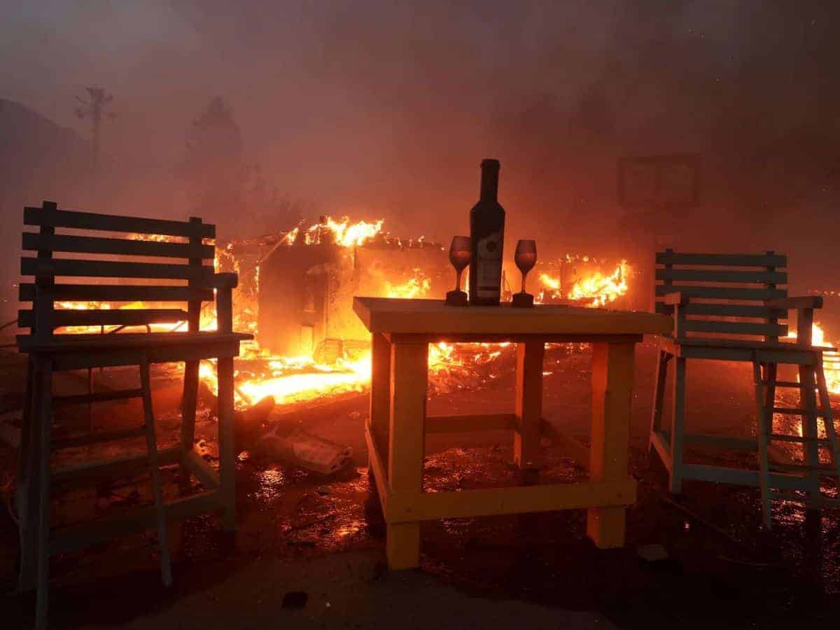 Ecco come la comunità vinicola affronta i terribili incendi di Los Angeles