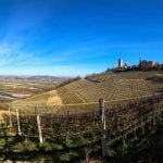 gaja-vigneti-Piemonte 1200x900