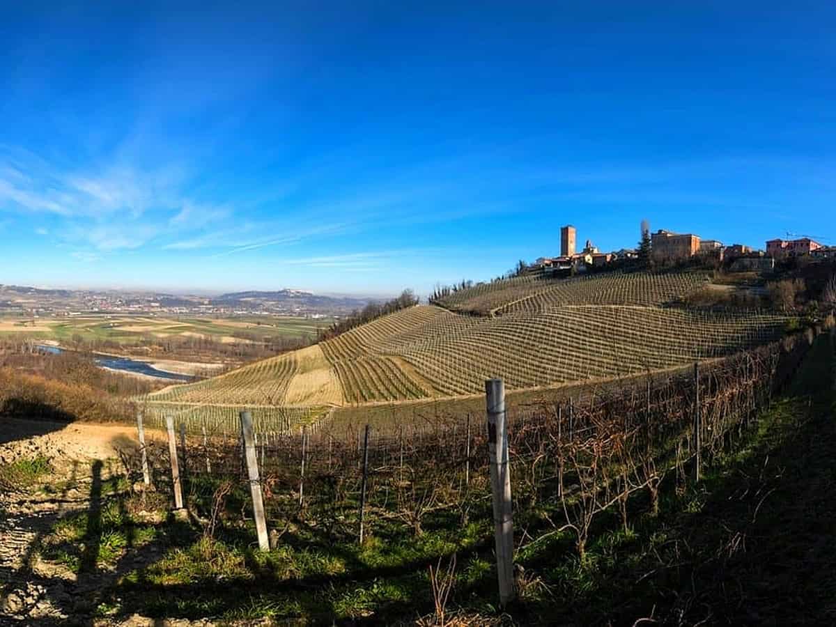 Grandi bianchi da invecchiamento: il caso dello chardonnay di Angelo Gaja che ha conquistato i collezionisti Grandi bianchi da invecchiamento: il caso dello chardonnay di Angelo Gaja che ha conquistato i collezionisti