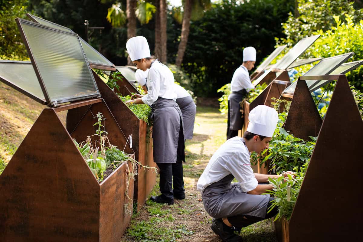 Come ti rendo l’alta cucina sostenibile. Il lusso che (finalmente) si sporca le mani