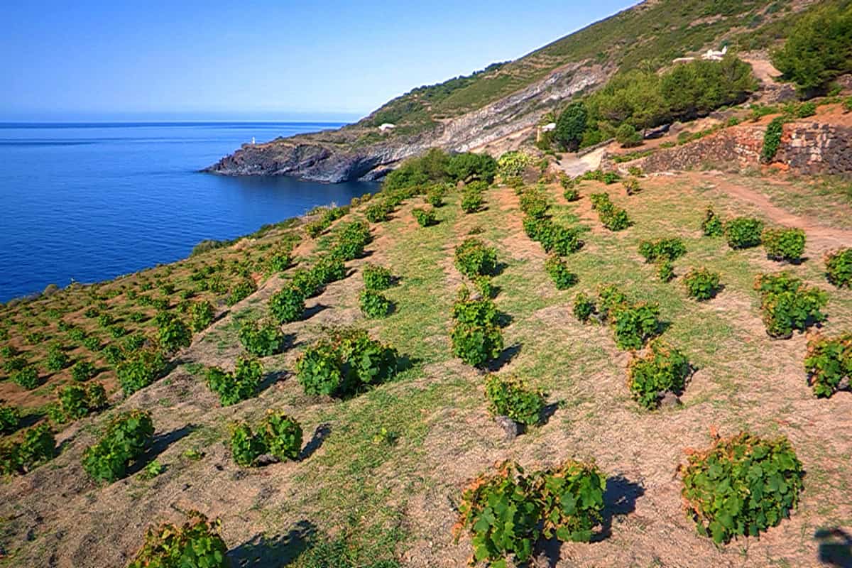 "Pantelleria? È l