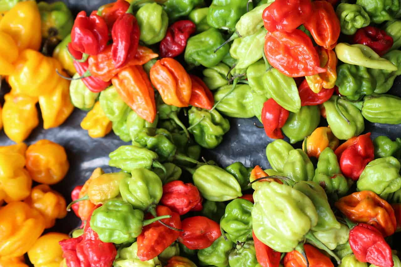 Alla scoperta della scala di Scoville, il metodo di misura più piccante del mondo