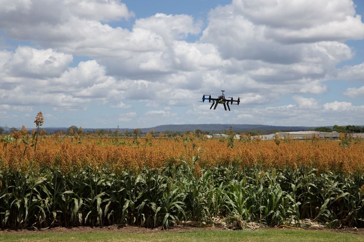 Il futuro della viticoltura? Nei droni, nei satelliti e nei robot. Ecco come utilizzarli al meglio Il futuro della viticoltura? Nei droni, nei satelliti e nei robot. Ecco come utilizzarli al meglio