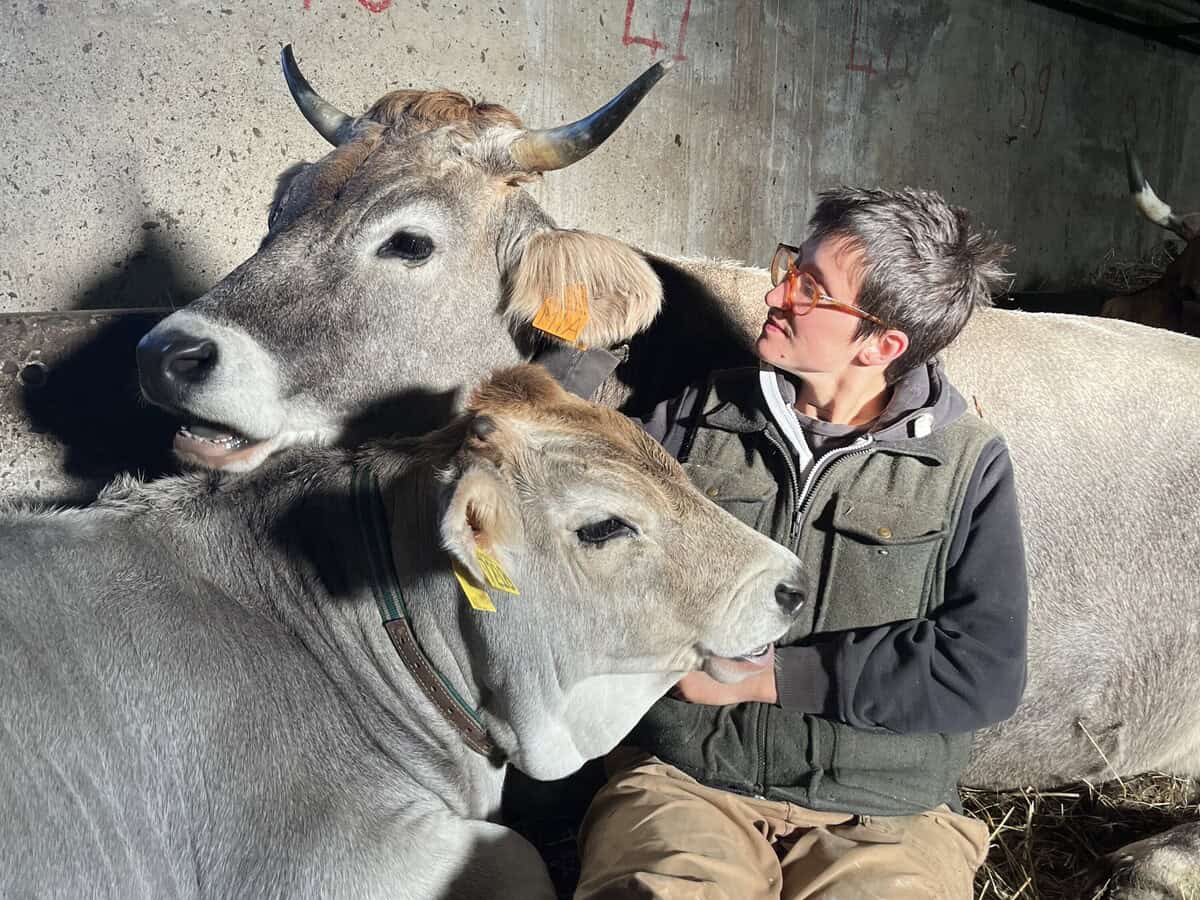 “La retorica della vita bucolica inganna i consumatori”. Storia della casara che vuole "uccidere" Heidi