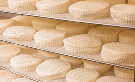 Toumin dal Mel, il formaggio della Val Varaita che ha soppiantato la produzione del burro