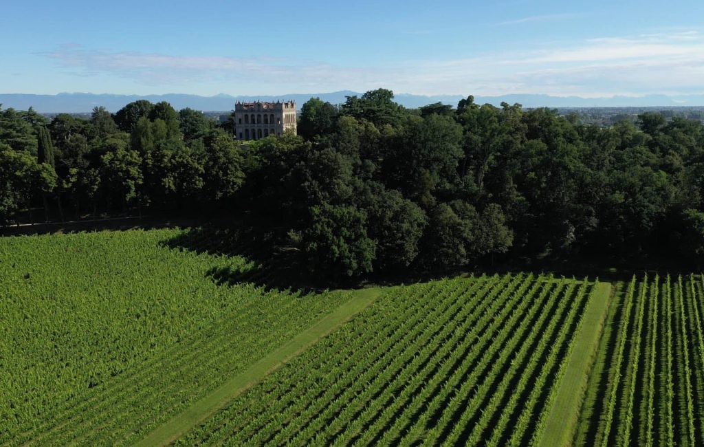 I Migliori Vini Dei Colli Euganei Sotto I 20 Euro Scelti Dal Gambero i-migliori-vini-dei-colli-euganei-sotto-i-20-euro-scelti-dal-gambero