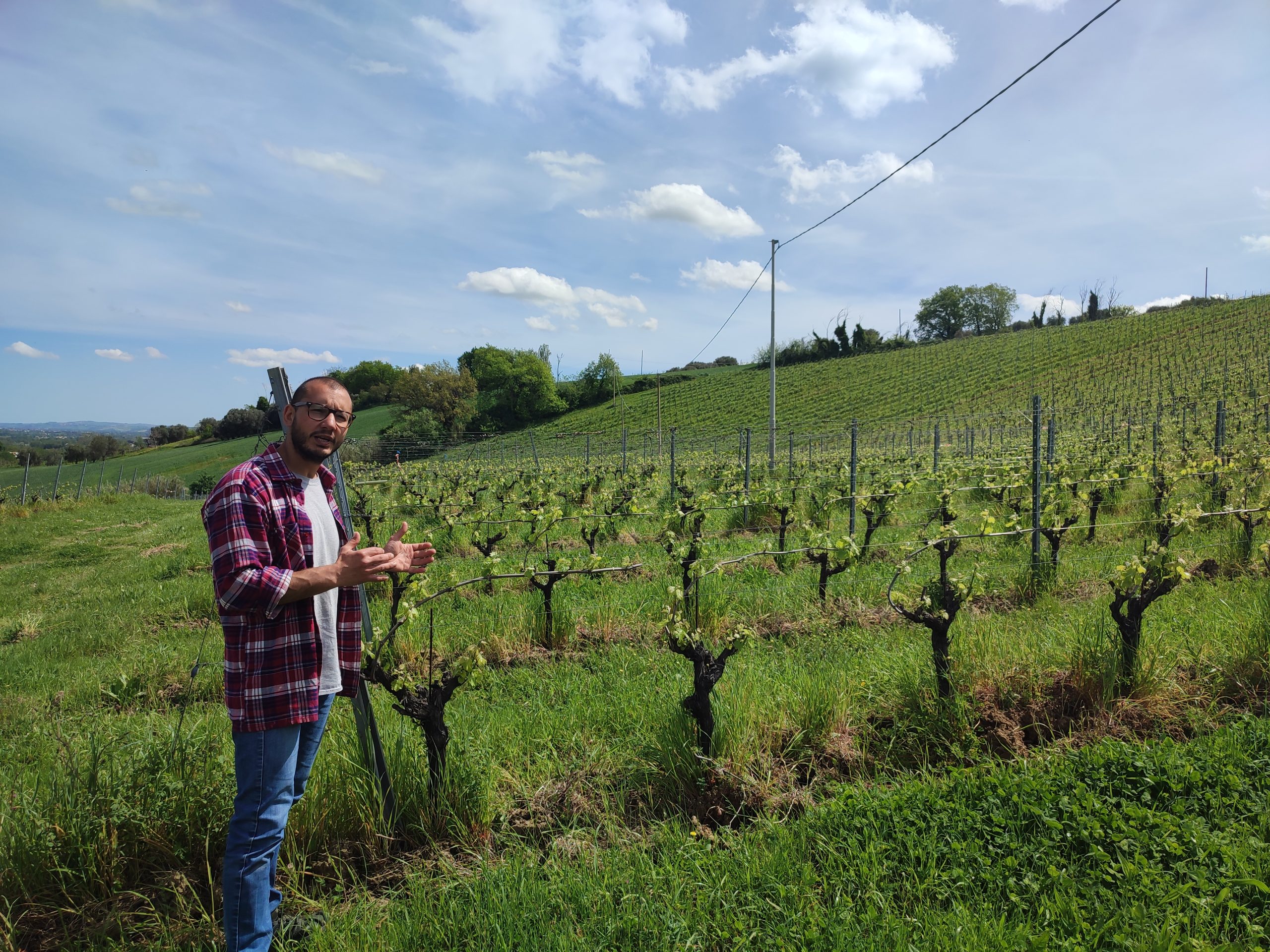 La storia del giovane professore che produce uno dei migliori Verdicchio dei Castelli di Jesi La storia del giovane professore che produce uno dei migliori Verdicchio dei Castelli di Jesi