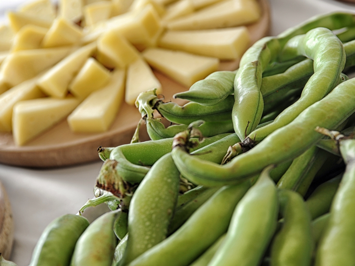 Ecco perché il Primo Maggio si mangiano fave e pecorino Ecco perché il Primo Maggio si mangiano fave e pecorino