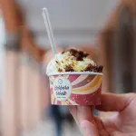 Coppetta Gelato di Barbara e Renato a Bologna