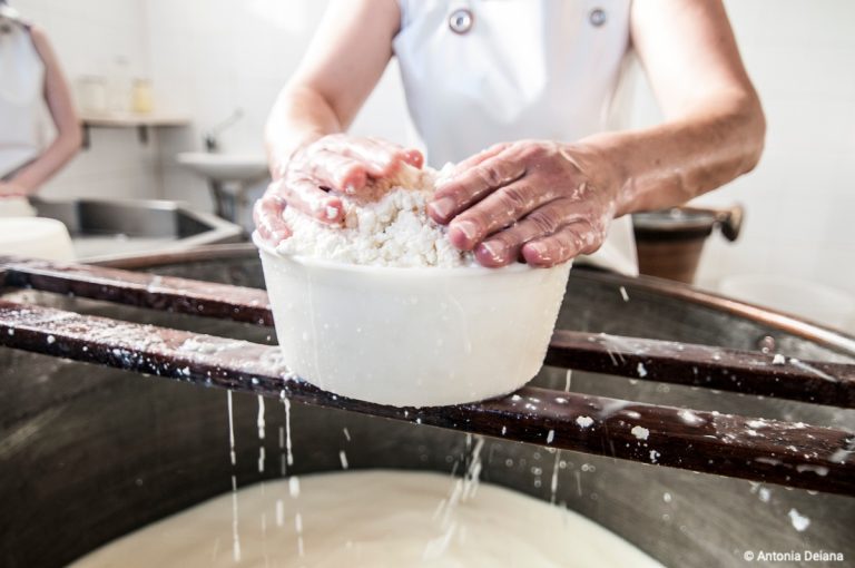 Fresa di Ittiri Presidio Slow Food Sardegna