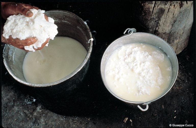 Mozzarella nella mortella Presidio Slow Food Campano