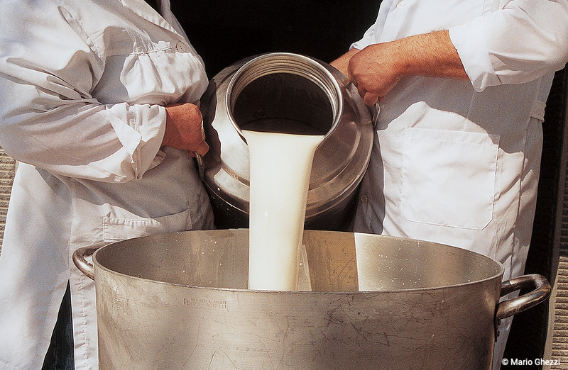 Raviggiolo dell'Appennino Tosco Romagnolo Presidio Slow Food Emilia Romagna