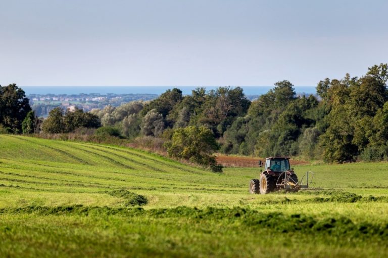 Azienda Biolà, Fiumicino (RM)