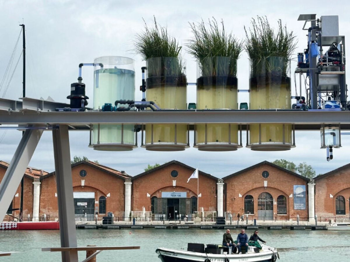 Marco Zorzanello, courtesy La Biennale