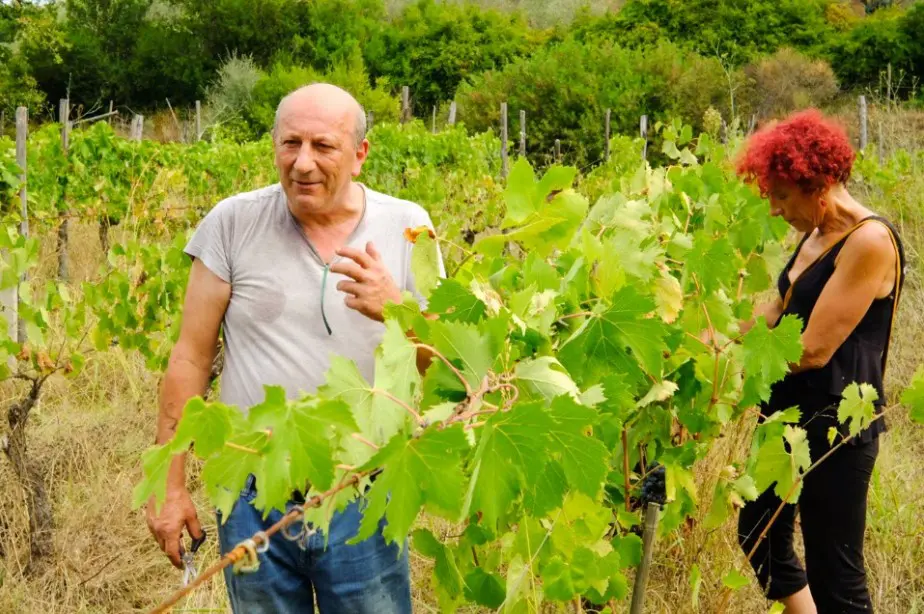 La coppia di architetti che ha deciso di cambiare vita per produrre vino nel Cilento La coppia di architetti che ha deciso di cambiare vita per produrre vino nel Cilento