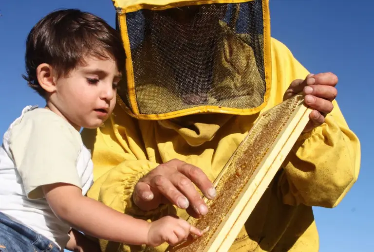 Foto di Rina D'Imperio - Concorso fotografico organizzato da Osservatorio Nazionale Miele