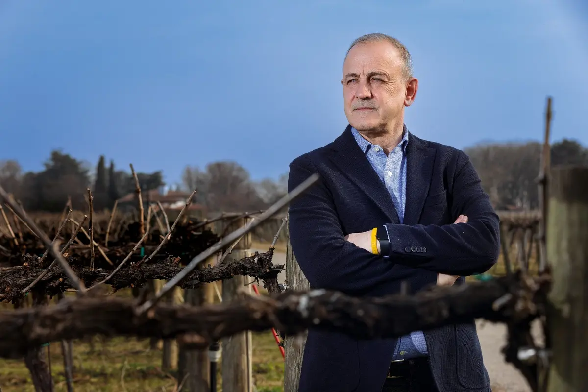 stefano trinco confermato alla guida del consorzio doc friuli venezia giulia la produzione sale a 23 milioni di bottiglie da Gamberorosso.it stefano trinco confermato alla guida del consorzio doc friuli venezia giulia la produzione sale a 23 milioni di bottiglie