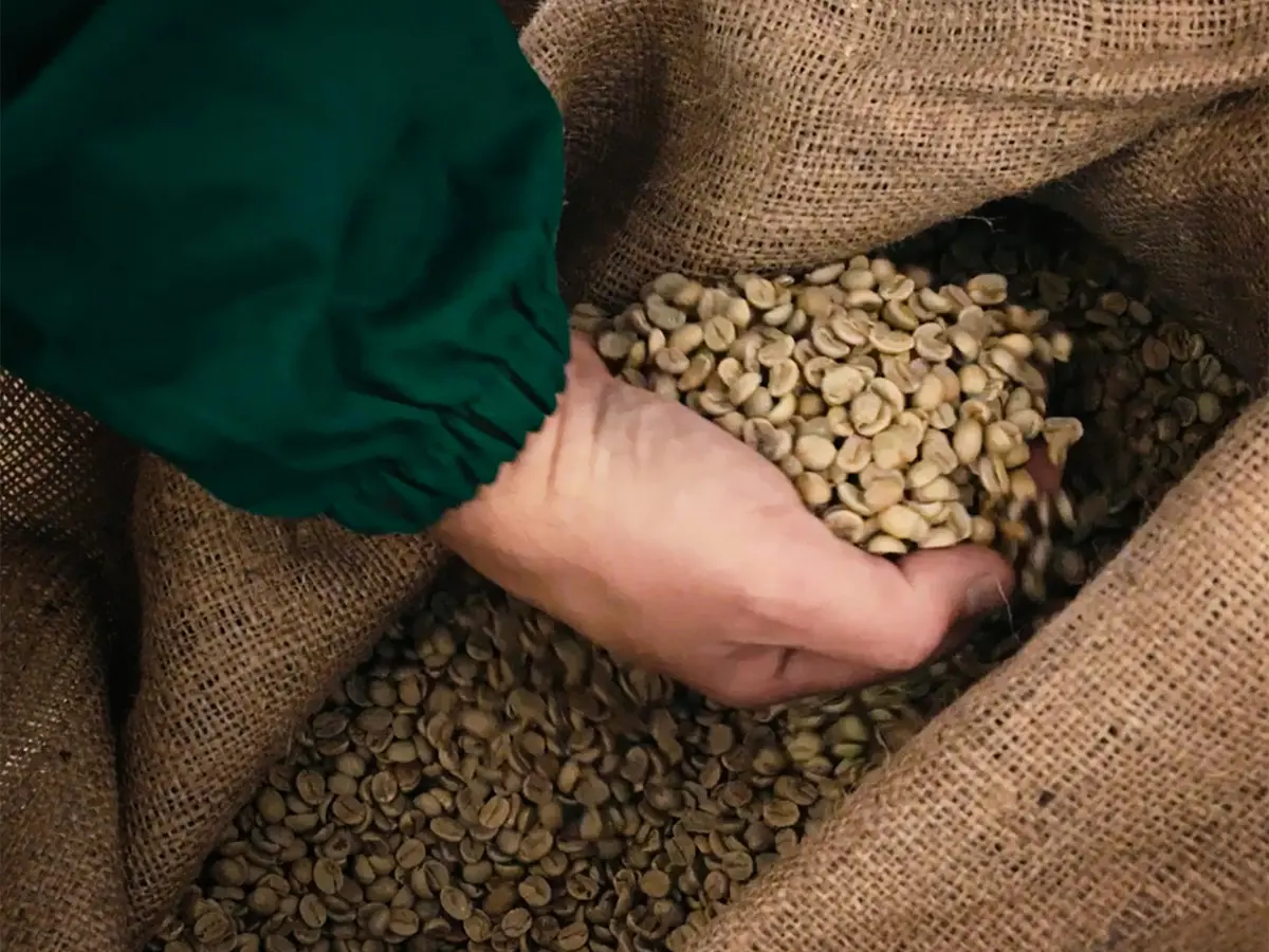 In Trentino c’è una microtorrefazione di montagna che sfida le convenzioni sul caffè In Trentino c’è una microtorrefazione di montagna che sfida le convenzioni sul caffè