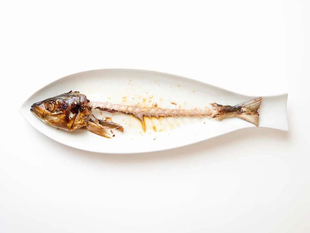 Lische e squame finiscono nel piatto: la nuova vita gourmet degli scarti in Italia e nel mondo Lische e squame finiscono nel piatto: la nuova vita gourmet degli scarti in Italia e nel mondo