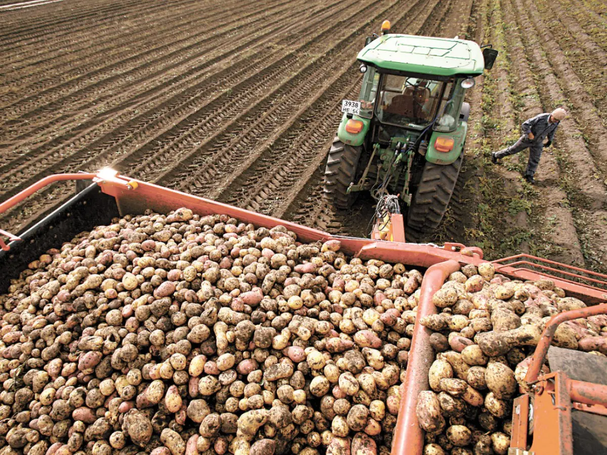 In Russia non ci sono più patate, dice Putin In Russia non ci sono più patate, dice Putin