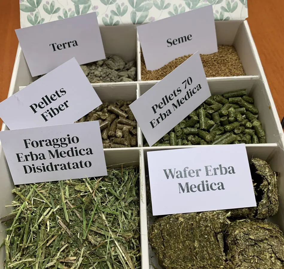 Erba medica Agricole Forte