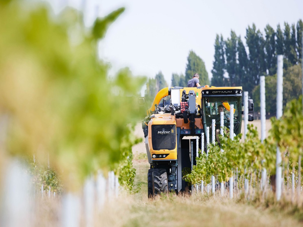 Anche il Belgio punta sul vino. Fiamminghi e valloni uniti nel nome dello spumante nazionale Anche il Belgio punta sul vino. Fiamminghi e valloni uniti nel nome dello spumante nazionale