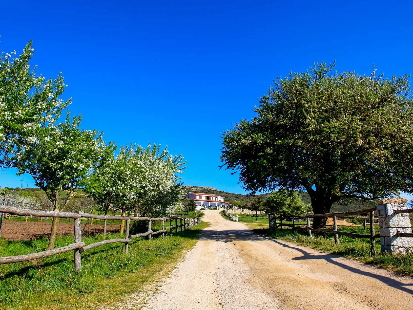 Agriturismo Ertila - Bitti (NU)