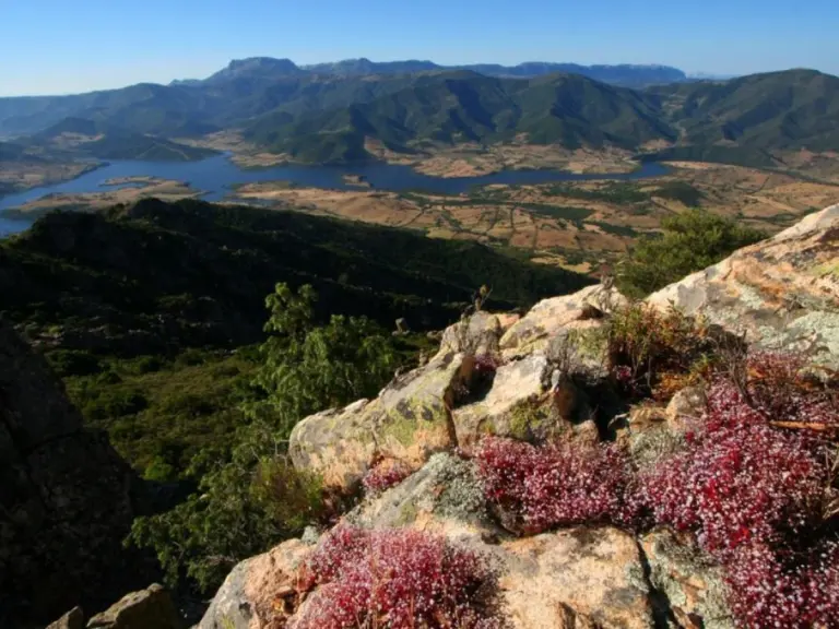 Parco di Tepilora in Sardegna