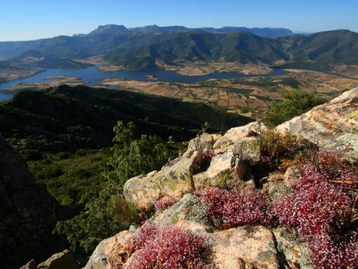 Dove la Sardegna è ancora vera: 5 agriturismi nel Parco di Tepilora da scoprire Dove la Sardegna è ancora vera: 5 agriturismi nel Parco di Tepilora da scoprire