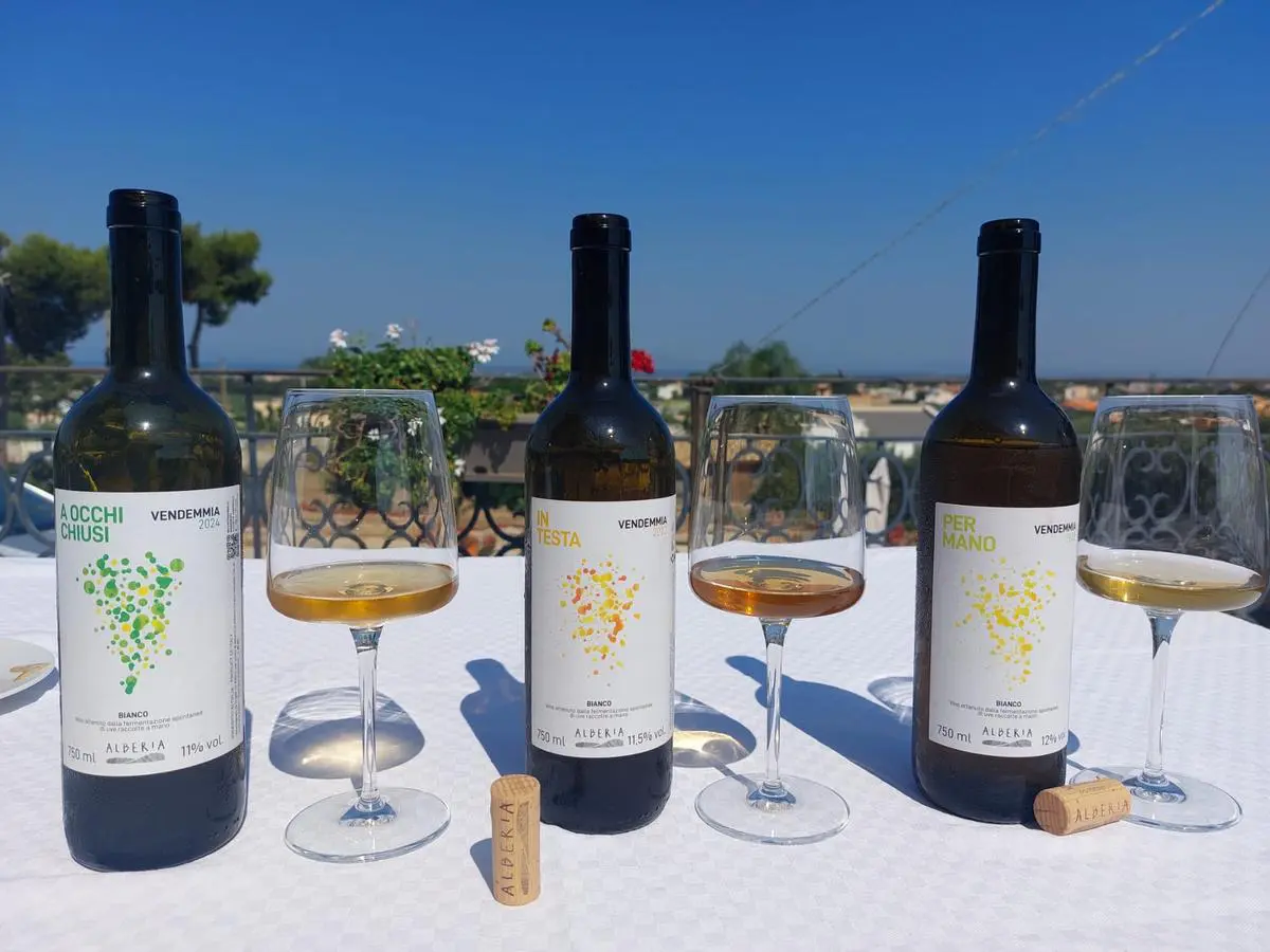 I vini di Alberia