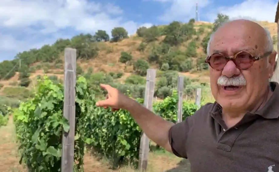 I due fratelli calabresi che fanno vino come gli antichi contadini grecanici