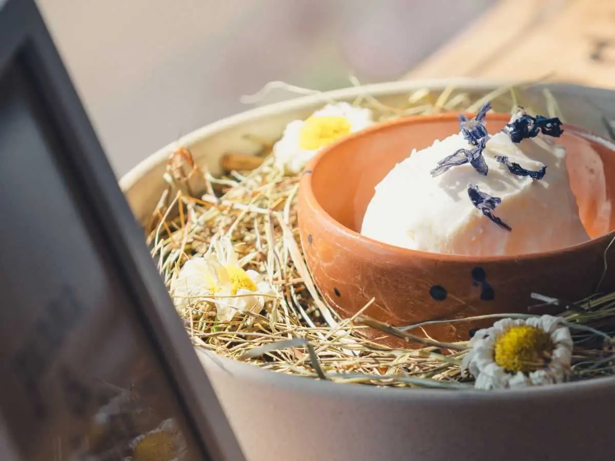 Gelato al fieno di Panna&Storti a Romano d'Ezzelino