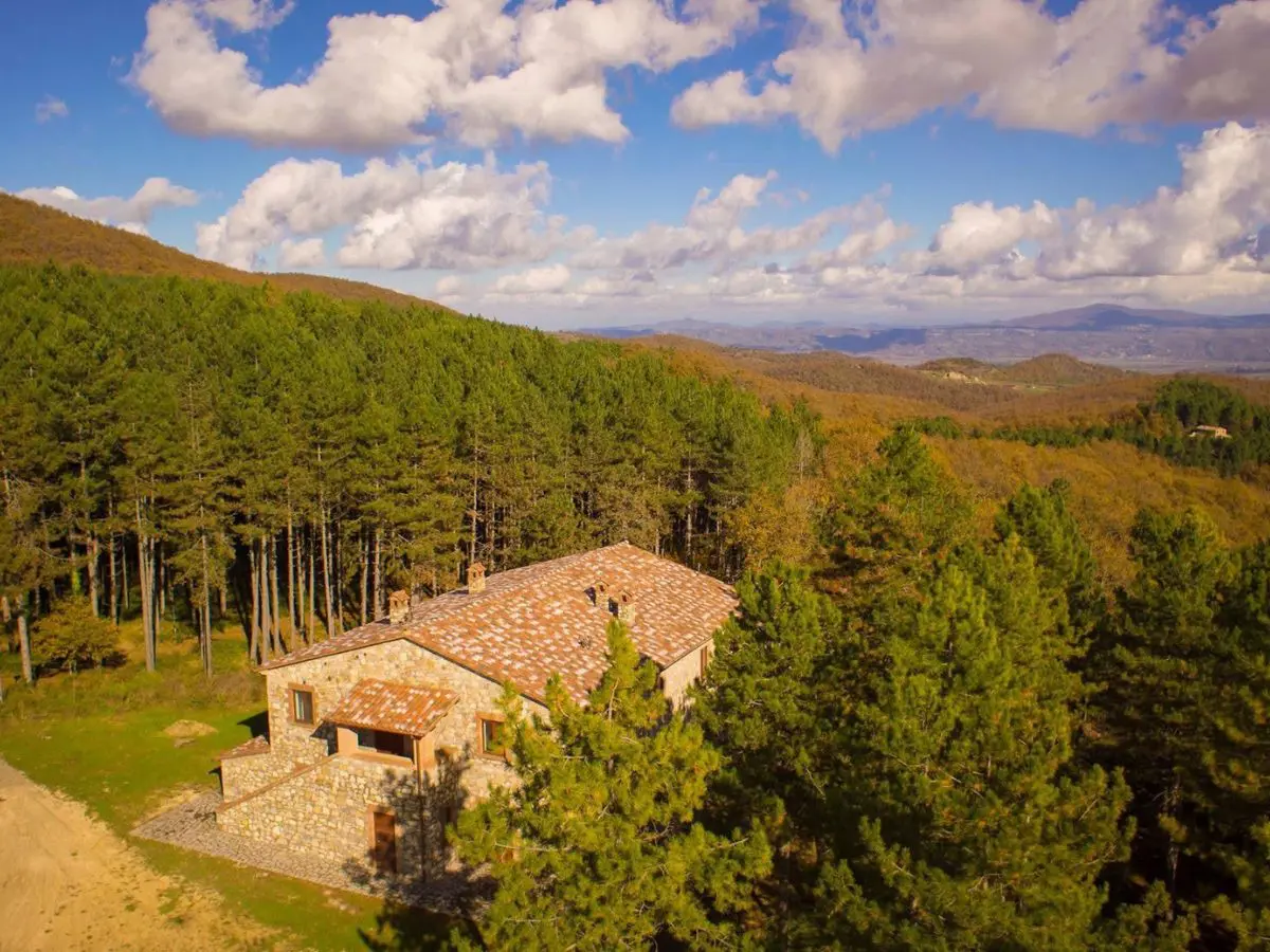 nel cuore del bosco un8217osteria senza tempo la scoperta pi249 autentica tra umbria lazio e toscana