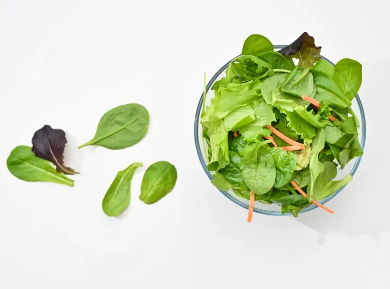 Insalata in busta