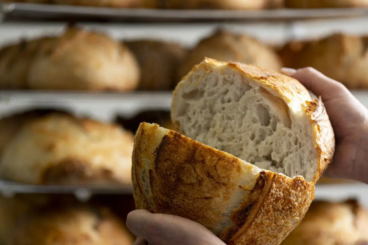 PANE di NIKO ROMITO. Foto di Andrea Straccinijpg