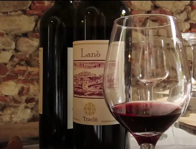 Lanò, il vino antico prodotto a Bova